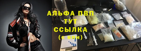мяу мяу кристалл Иннополис