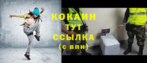 Альфа ПВП Инсар