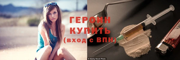 сатива Каменка