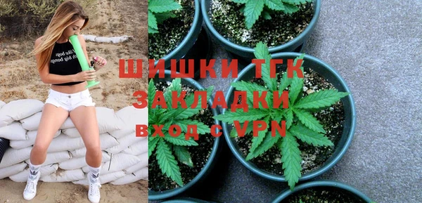 сатива Каменка