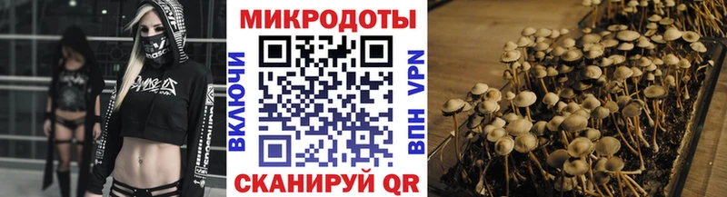 Галлюциногенные грибы GOLDEN TEACHER  наркошоп  Олёкминск 
